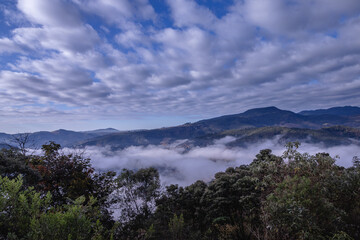 Fototapeta na wymiar Floresta com neblina na cidade de Conceição do Mato Dentro, Estado de Minas Gerais, Brasil