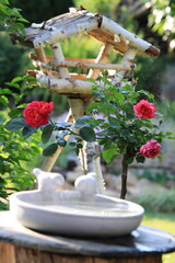Rote Rosen - Gartengestaltung