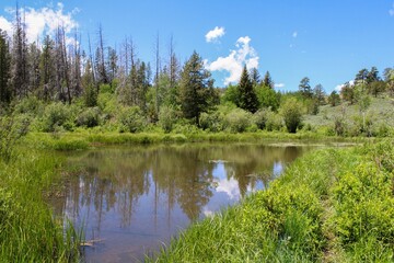 lake in the mountains