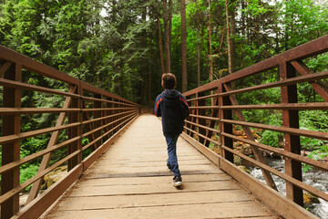 Boy Hiking through Forest, Crossing Wooden Bridge