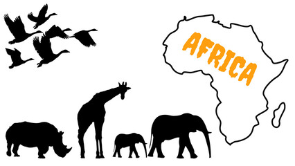 African Wildlife - a collage with elephants, giraffes, birds and a rhino.