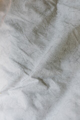 black cat, pet hair on white sheets