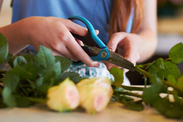 Woman, flowers and hands with scissors for stem growth, cut roses and florist service in retail shop. Closeup, female person and pruning plants for work in floral store, small business and startup