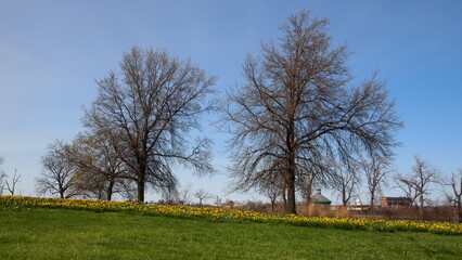 Spring season in Michigan