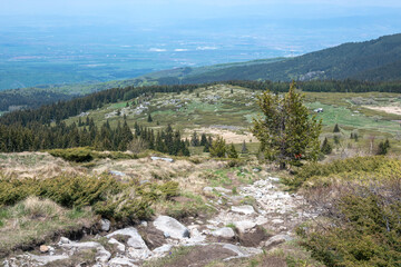 Spring view of Konyarnika area at Vitosha Mountain, Bulgaria