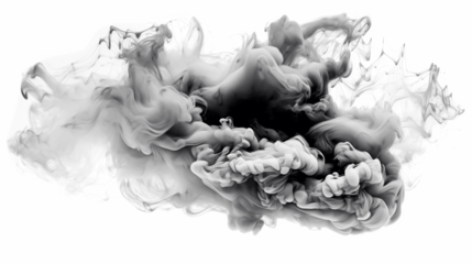 Wandcirkels plexiglas Transparent black smoke cloud isolated - Generative AI © mr_marcom