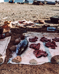 Freshly caught tuna fish being prepared and cut into pieces on a makeshift setup in Hadiboh,...