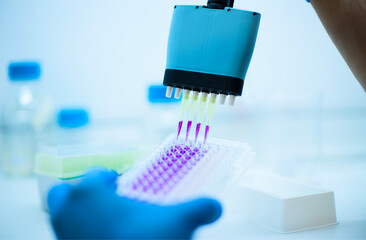 Cell culture at the cell culture genetic bioprocess medicine and medical labrotory