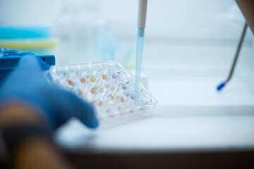 cell culture at the science  and bioengineering laboratory 