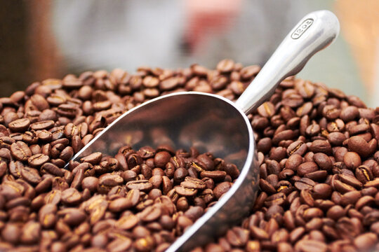 Coffee beans, dark roast and premium scoop in cafe, restaurant or shop with product. Espresso, store and caffeine blend in a luxury, organic and retail grocer with fresh and raw blend of produce