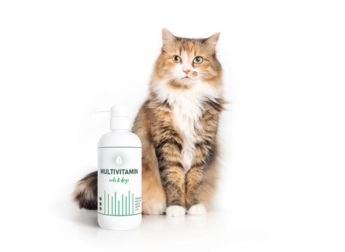 Cute cat with multivitamin supplement bottle. Fluffy calico kitty sitting behind pump bottle with fake pet supplement label for cats and dogs to promote animal health. Selective focus. Isolated.