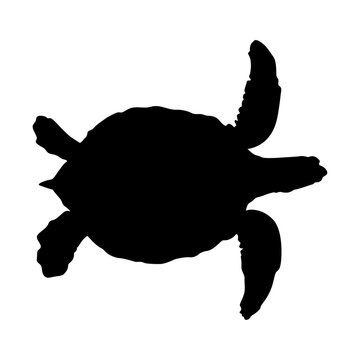 recommend clip art: Swimming Sea Turtle Silhouette. Good To Use For Element Print Book, Animal Book and Animal Content