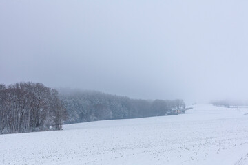 Fototapeta premium Winter landscape with snow-covered fields and trees in the background.