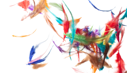 Many color Feather fly fall beautiful spiral pattern in air over black background isolated. Puffy Fluffy soft feathers like dream floating dove in sky. Colorful feathers are so light and delicate