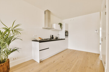 a kitchen area with wood flooring and white walls, including a large plant in the center of the room