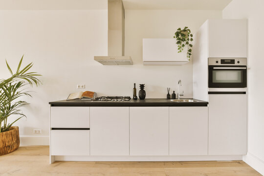 A Modern Kitchen With White Cabinets And Black Counter Tops In The Center Of The Image Is A Pot Of Plants