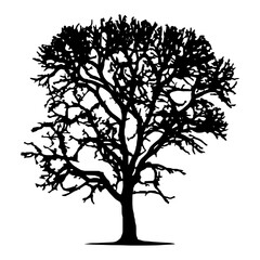 Tree silhouette isolated vector template 3