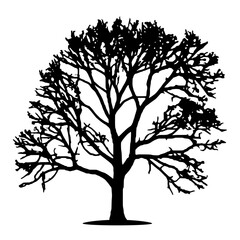 Tree silhouette isolated vector template 4