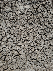 Drought. water crisis