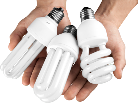 Two Hands Holding Three Energy Efficient Bulbs - Isolated