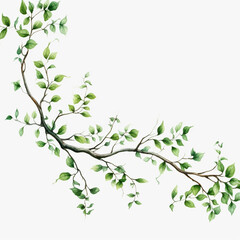 Obraz premium Generative AI Watercolor branch with green leaves on white background. Vector illustration.
