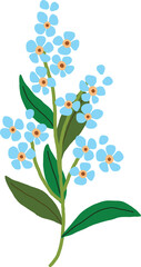 illustration of a blue flower