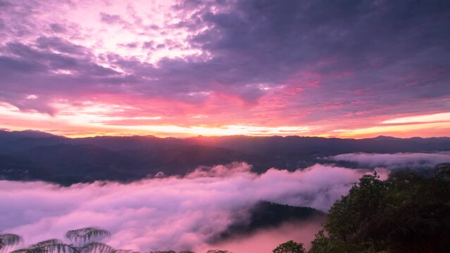 First light in sunrise morning rolling sea of clouds in the mountain, beautifull sky background, time-lapse