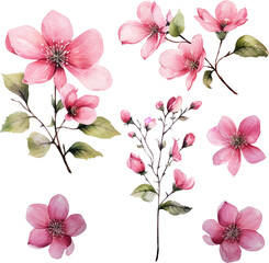 clipart top cute decorate floral flower bundle watercolor oil color