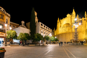 An illuminated Plaza del Triunfo late at night alongside the Great Seville Cathedral in the Barrio Santa Cruz district of Seville Spain. © Kirk Fisher