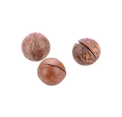 macadamia nuts and a metal key for opening nuts. nutritious and healthy snack.transparent png