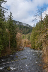 Fototapeta na wymiar A river flows through the beautiful rugged landscape of the Mt. Hood National Forest, Oregon, Pacific Northwest United States
