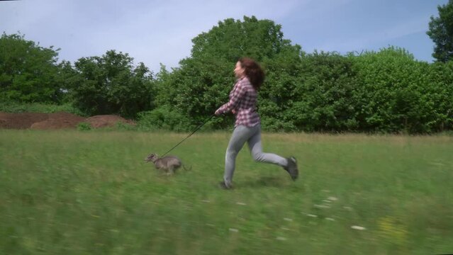 woman on jeans running with her greyhound breed dog on the field outdoor