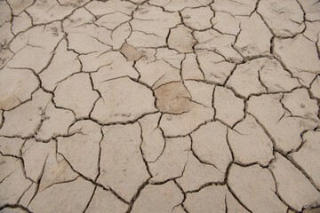 dry land due to lack of water
