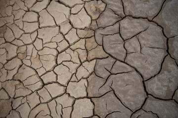 dry land due to lack of water
