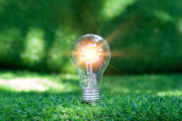 saving Energy light bulb with light and tree growing in side on nature background. Saving, accounting and financial concept. technology for saving electric power and energy use ecology idea concept 