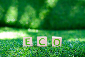 Embracing an Eco Friendly Lifestyle. Green Grass and Cube Box with word ECO Symbol. Promoting Nature and Sustainable Living.