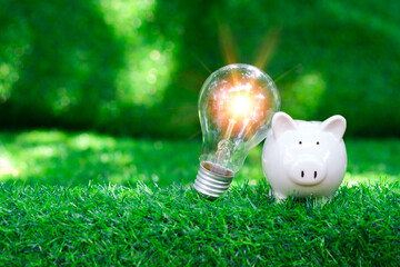 Green Grass with Piggy Bank and lightbulb. A Sustainable Idea for Saving Money and Investing in the...