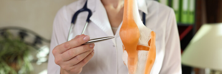 Doctor traumatologist showing ligaments and muscles on artificial model of human knee joint closeup