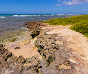 Coral Reef and The Beach at Barbers Point Beach Park,  Oahu, Hawaii, USA
