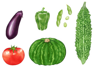 Set of summer vegetables painted with digital watercolor