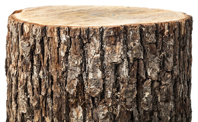 Round wooden saw cylinder shape on abstract background