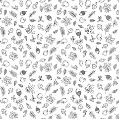 Hand drawn line art seasonal autumn pattern with black forest meadow plants, apples, berries, acorns and leaves.Minimalistic background on white.