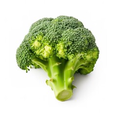Professional photo of delicious fresh broccoli