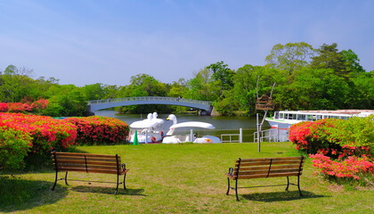 大沼公園（5月）3