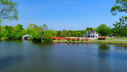 Fototapeta premium 大沼公園（5月）4