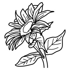 sketch of flower