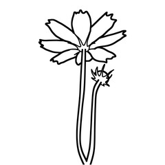sketch of flower