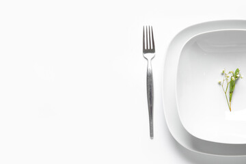 Beautiful table setting and gypsophila flowers on white background