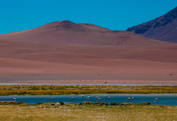 San pedro de Atacama