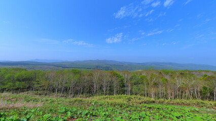 Fototapeta premium 洞爺湖登別線黄渓駐車場からの眺め2